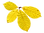 feuille 10