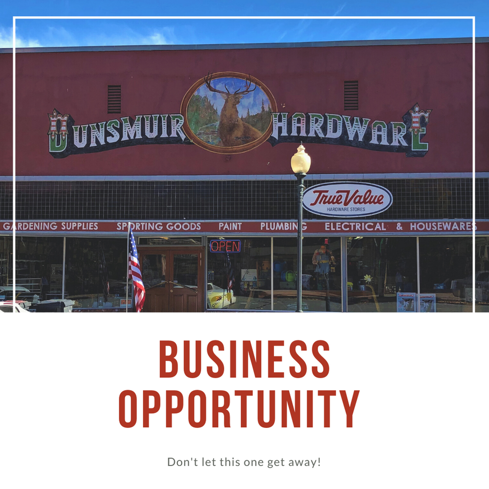 How to Remove Dog Spots from Your Lawn