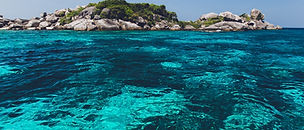 海洋