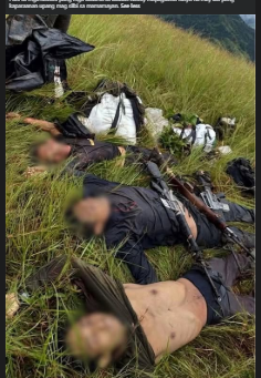 Dating rebelde sa tatlong NPA na nasawi sa Abra: “May iba pang paraan upang magsilbi”