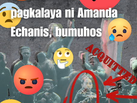 Reaksyon sa pagkalaya ni Amanda Echanis, bumuhos
