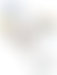 Bronchoscopy / 152-L-PR-10
