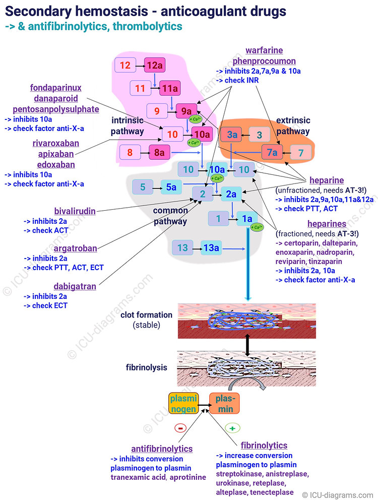 The Truth About Anticoagulants And Afib Post Ich Recovery - buvogcs