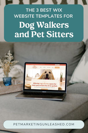 The 3 Best Wix Website Templates for Dog Walkers and Pet Sitters