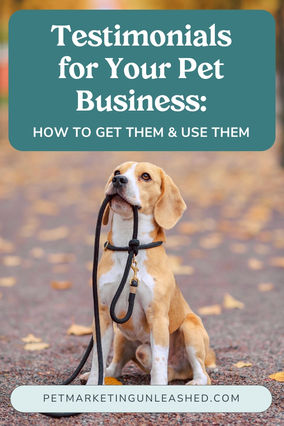 Testimonials for Your Pet Business: How to Get Them & Use Them