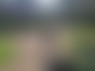 Children playing at the Jo'burg Zoo