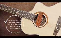 Risen Woodland R3 拾音器評測