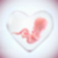 Embryo.Donation.Heart_-1-1024x1024.jpeg