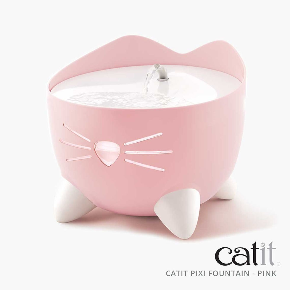CATIT - Fuente de agua Pixi (2.5 Lt)