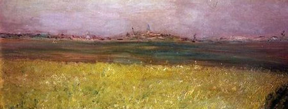 colza.jpg