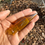 Thumbnail: Amber Ultem AMSS 8 (.086)