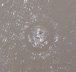 The Presidential Seal