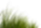 AdobeStock_527581604.png