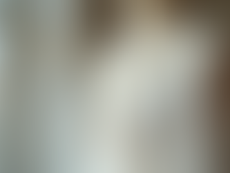 Elegant Plus Size Wedding Dresses for Every Bride