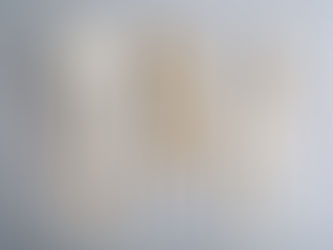 Comparison of biodegradable disposable cutlery materials including reinforced PLA, CPLA cornstarch blend fork, bamboo spoon, and sugarcane fiber knife for foodservice applications.