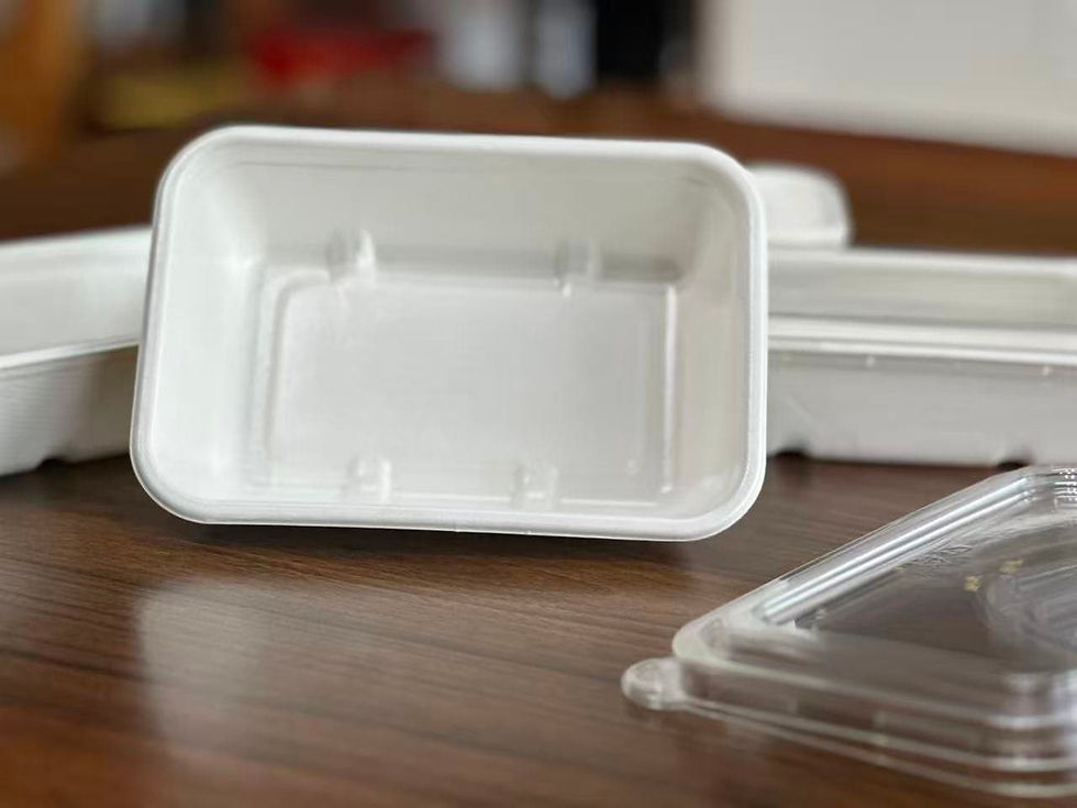 Eco-friendly sugarcane bagasse disposable food container with internal water-based barrier coating