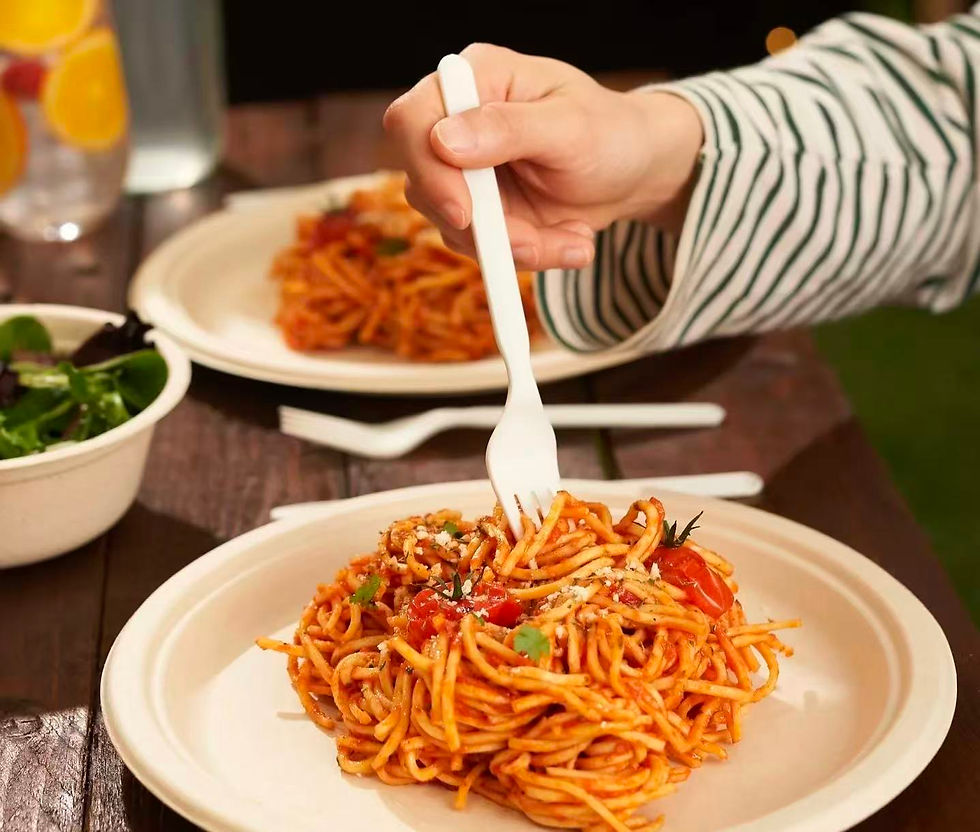 Eco-friendly, durable, compostable sugarcane plates for hot food