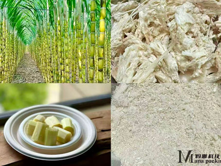 Fibrous sugarcane residue used to make biodegradable plates