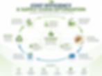 cost efficiency eco packaging supply chain concept