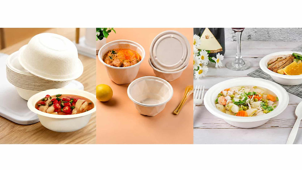 Bagasse bowls for soup made from sugarcane fiber