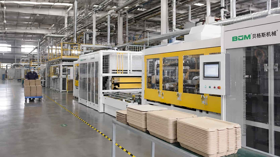 Modern compostable tableware manufacturing factory in China
