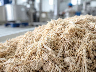 Sugarcane bagasse raw material used in the bagasse tableware manufacturing process