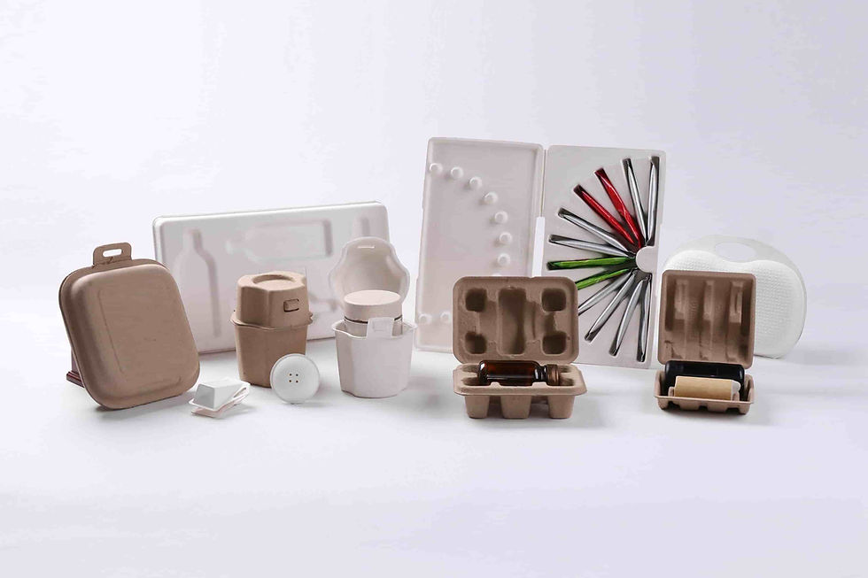 Sugarcane bagasse packaging material process from sugarcane fiber to sustainable food containers