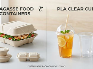 bagasse vs PLA packaging comparison