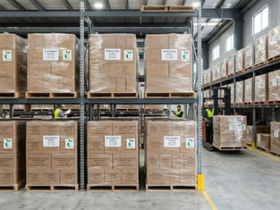 wholesale compostable tableware packaging products