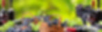 AdobeStock_289832747.jpeg