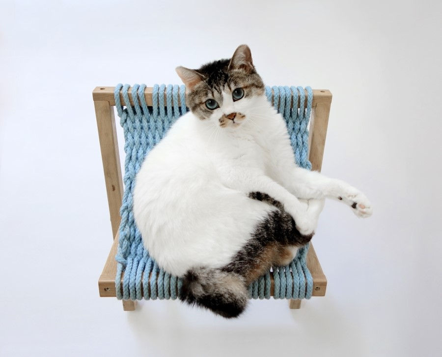 이 쪽에 앉아요