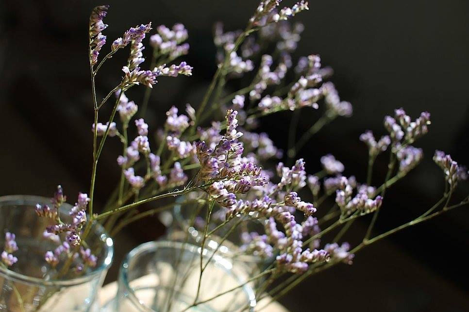 12244686_523473347816839_882127421715421598_o