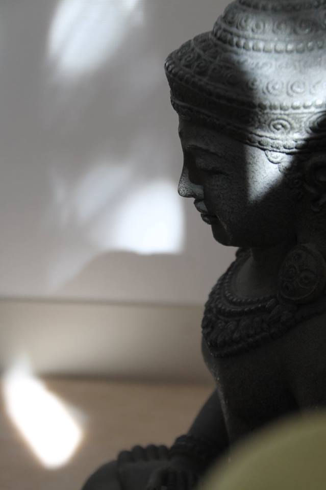 12049634_513698238794350_860858816595755951_n