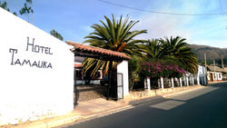 IMAG0595
