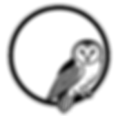 Asset 2_edited_edited.png