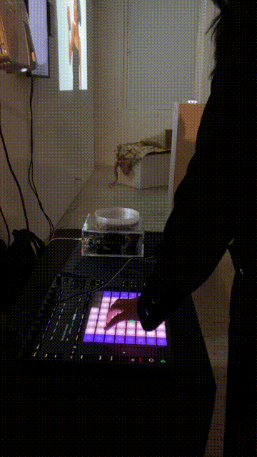 gif2.gif