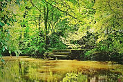 river-1383817_1280.jpg