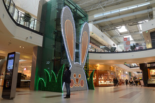 Bunny Lift Feature
