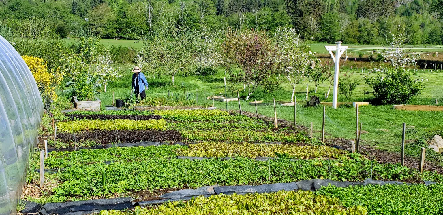 Working with the Weeds