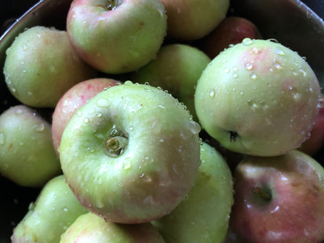 A basket of fresh, homegrown fruit