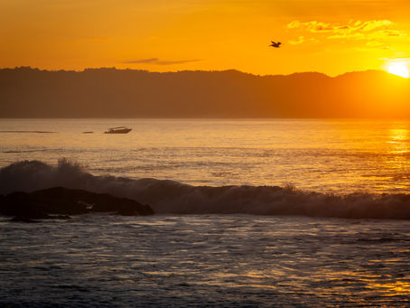 Top 5 Bucket List Activities Within Walking Distance of Surfside Lodge