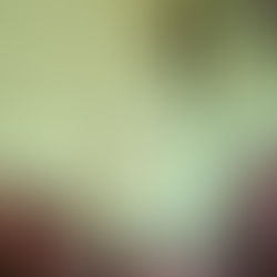 satouの傘 新作生地見本が届きました