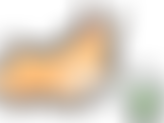 Decompression walks & how they can change the life of your stressed, anxious, or reactive dog!