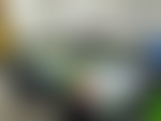 Chegou o tapete !!!!!