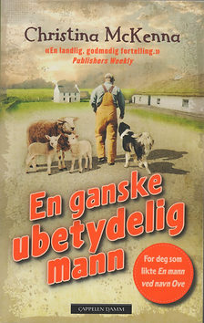 Norwegian translation of The Misremembered Man, the first novel by Christina McKenna