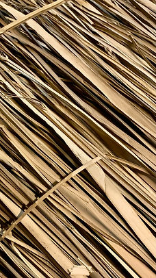 marsh mat closeup.jpeg