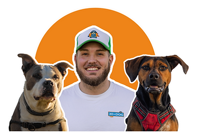 Design sans titre (50).png