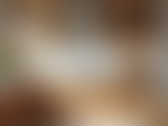 Exceptional Quality Custom Cabinetry: A Showcase of Dee Chester