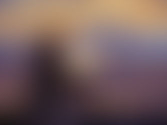 PAUL'S LETTER TO AMERICA