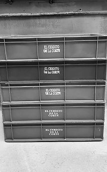 Fotos para pagina del cerdito-2.jpg